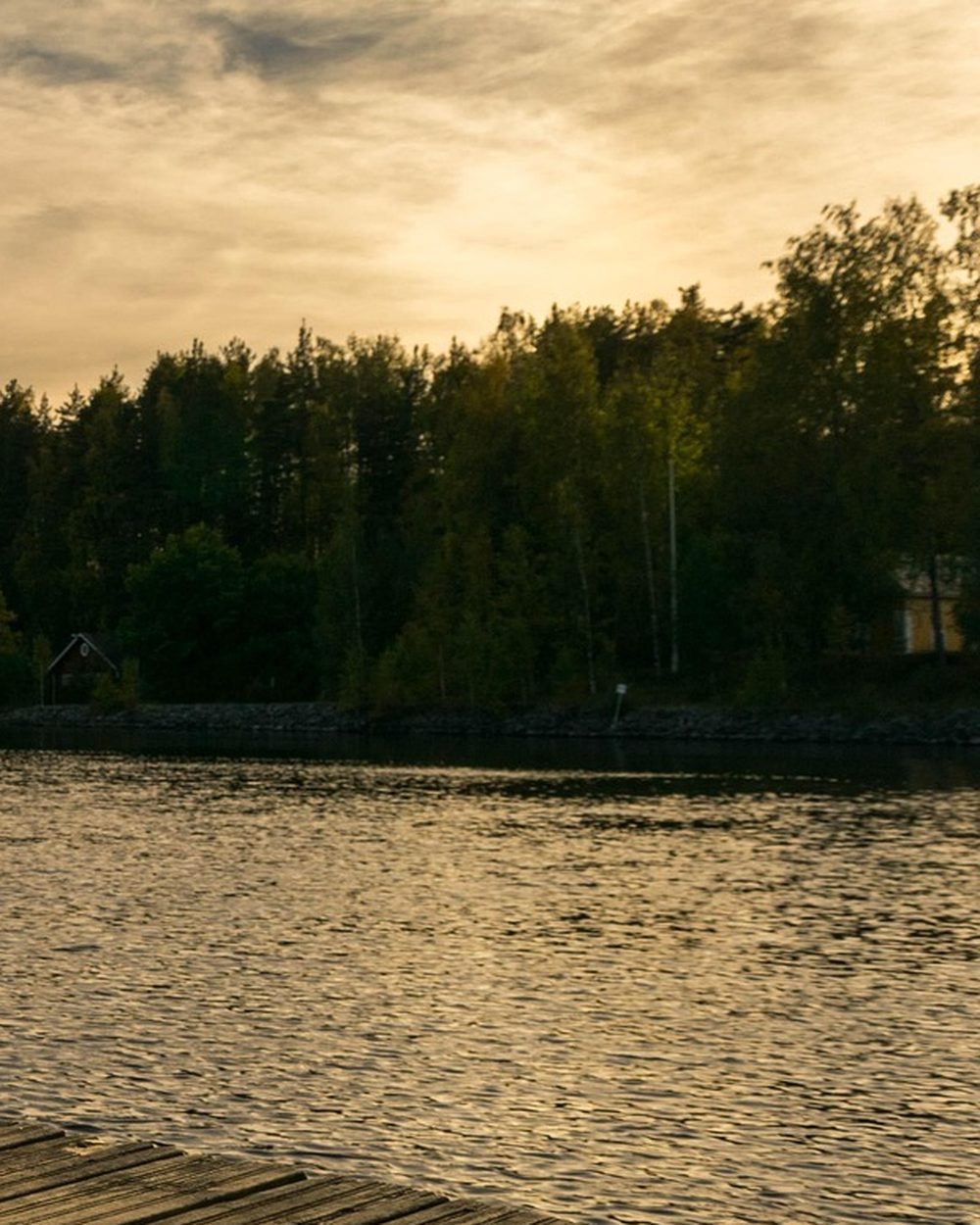 The sun setting behind a dark line of trees across a still lake, seen from a wooden dock