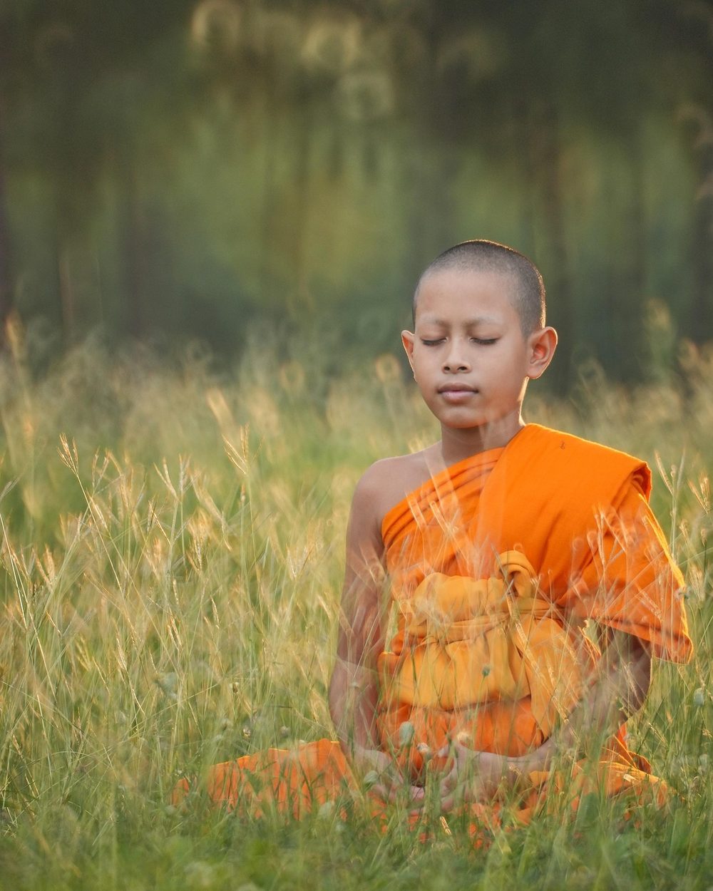 A young monk in an orange robe sits in meditation with his eyes closed in a field of tall grass