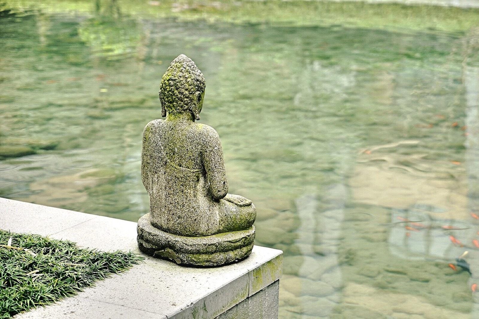 A moss-covered stone Buddha seated at the edge of a still green pond